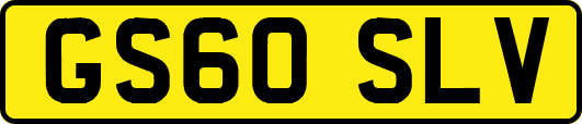 GS60SLV