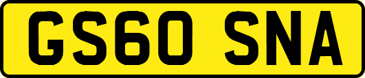 GS60SNA