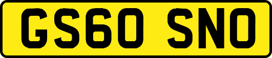 GS60SNO