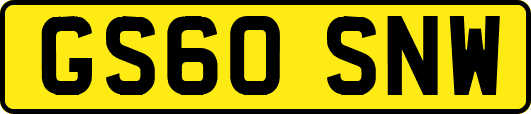GS60SNW
