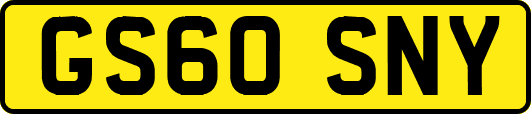 GS60SNY