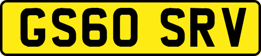 GS60SRV