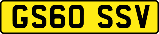 GS60SSV