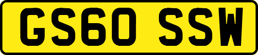 GS60SSW