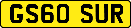 GS60SUR
