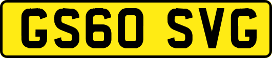 GS60SVG