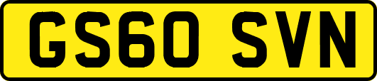 GS60SVN