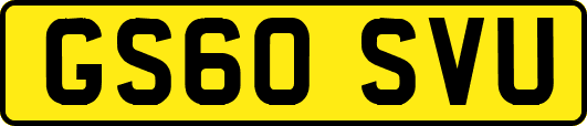 GS60SVU