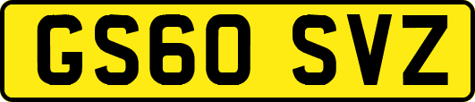 GS60SVZ