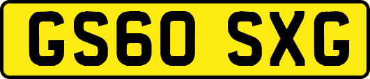 GS60SXG