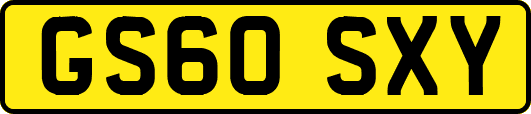 GS60SXY