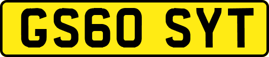 GS60SYT