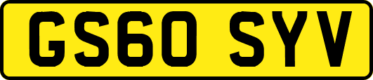 GS60SYV