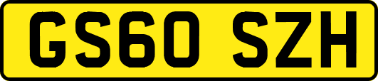 GS60SZH