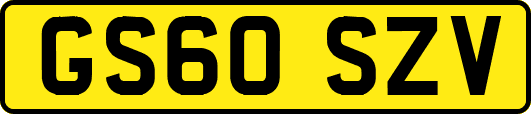 GS60SZV