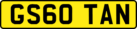 GS60TAN