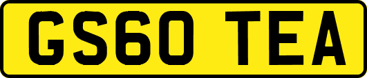 GS60TEA