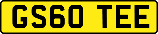GS60TEE