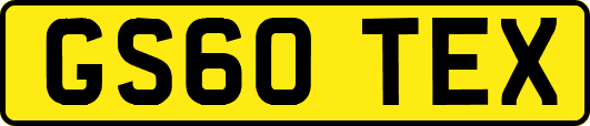 GS60TEX