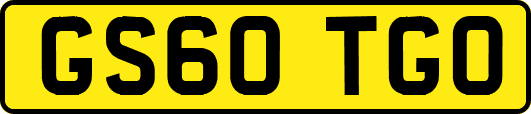 GS60TGO