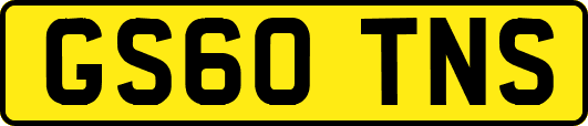GS60TNS