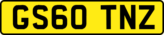 GS60TNZ