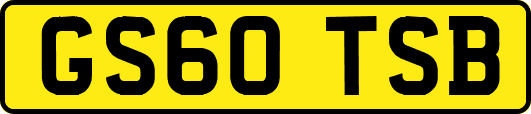 GS60TSB