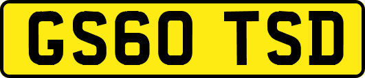 GS60TSD