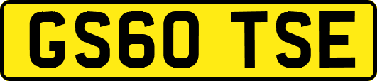 GS60TSE