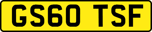 GS60TSF