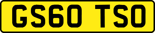 GS60TSO