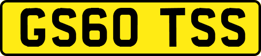GS60TSS