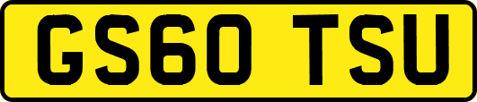 GS60TSU