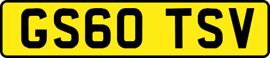 GS60TSV