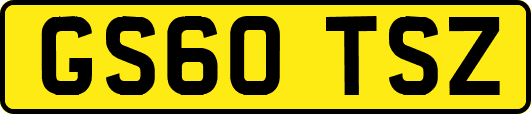 GS60TSZ