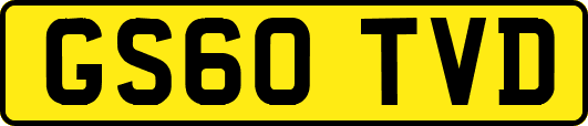 GS60TVD