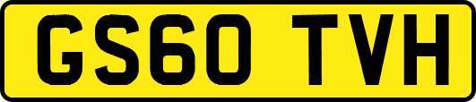 GS60TVH