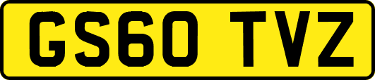 GS60TVZ