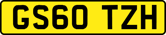 GS60TZH