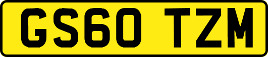 GS60TZM