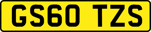 GS60TZS