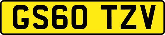 GS60TZV