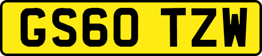 GS60TZW