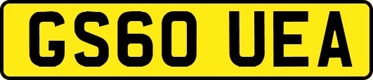 GS60UEA