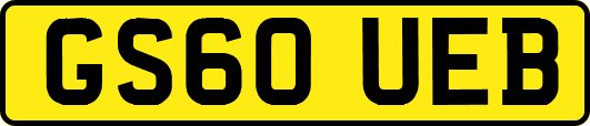 GS60UEB