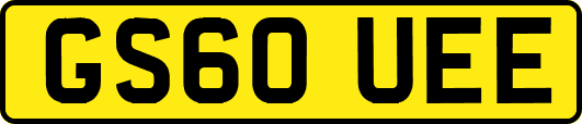 GS60UEE