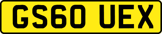 GS60UEX