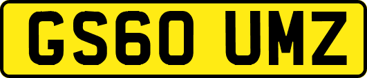 GS60UMZ
