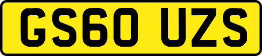 GS60UZS