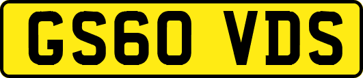 GS60VDS